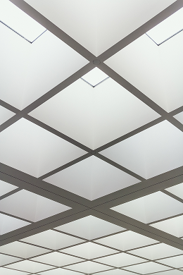 Geometric ceiling pattern with square panels and intersecting lines, featuring small skylights that let in natural light. This modern, symmetrical design is perfect for enhancing spaces with our expert interior services.